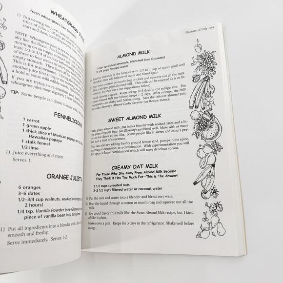 Hooked on Raw: Rejuvenate Your Body and Soul with Nature's Living Foods - Picture 8 of 14